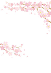 桜のある春の風景のイラスト(白背景)