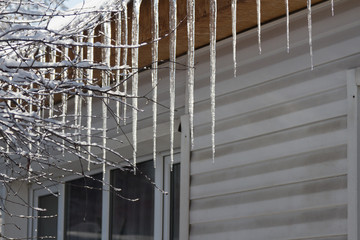 icicles from the roof