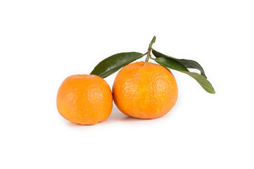 Pair of mandarins on white background with leaves
