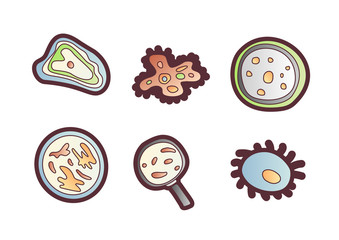 Scientic research cartoon vector icon. Molecules and unicellular organisms under a microscope and magnifying glass. Molecular studies of scientists, a set of vector cartoon style icons on white