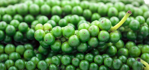 green peppercorns isolated on white background