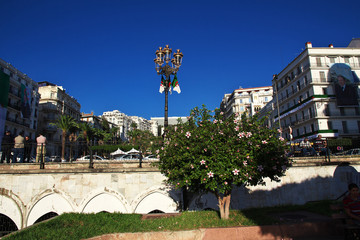 Algeria  Algiers algerian