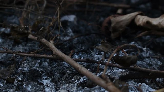 Heat ash and smoke from bornfire. Heat accumulated with global warming.  Or we are the cause of this problem