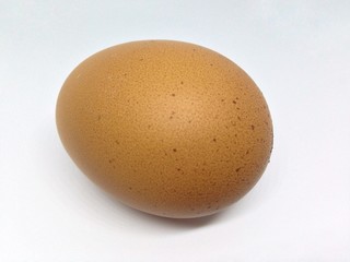 chicken egg isolated on white background