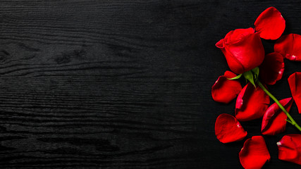 Fototapeta na wymiar Valentine's Day. Red Rose and Petals on Modern Black Wooden Background. Flowers composition. Valentines Day Background. Image