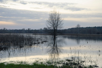river with green grass and cloudy day