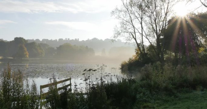 Autumn colors in Hardwick Park, Derbyshire, England, United Kingdom, Europe  