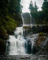 Obraz premium Wodospad w lesie