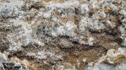 Mineral on the rock.