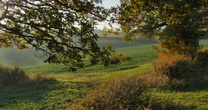 Autumn colors near Hardwick Park, Derbyshire, England, United Kingdom, Europe  