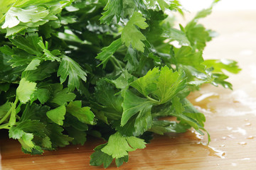A bunch of green parsley	