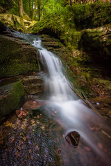 Naklejka na ściany i meble waterfall water stream in black forest