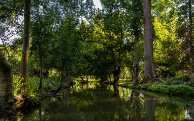 Marais Poitevin, Venise verte, Vendée, Deux-Sèvres, Charente-Maritime, Nouvelle-Aquitaine,  France.