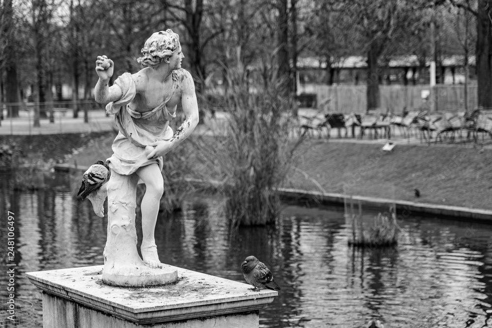 Wall mural Jardin des tuilleries