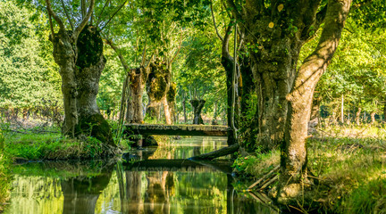Marais Poitevin, Venise verte, Vendée, Deux-Sèvres, Charente-Maritime, Nouvelle-Aquitaine, ...