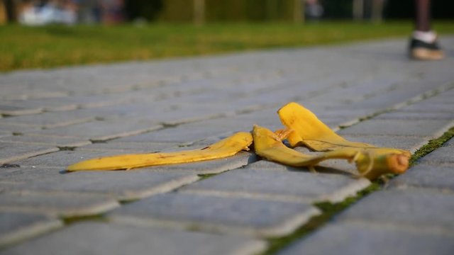 Close-up banana peel lies on sidewalk and near it pass female feet in city park on blurred background