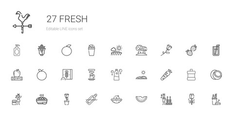 fresh icons set
