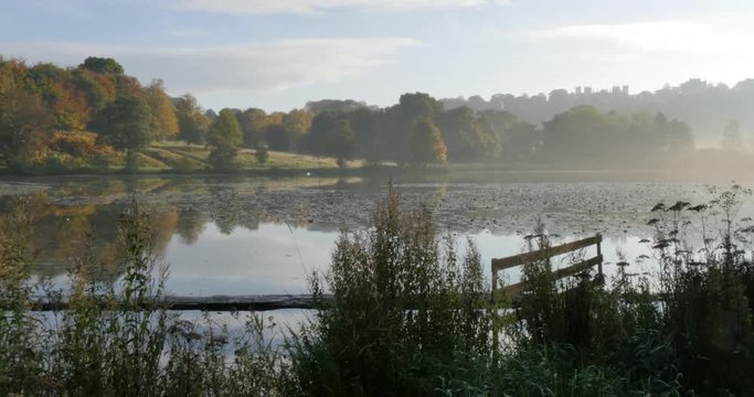 Autumn colors in Hardwick Park, Derbyshire, England, United Kingdom, Europe  