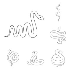 Fototapeta premium Isolated object of poison and evil sign. Set of poison and bite vector icon for stock.