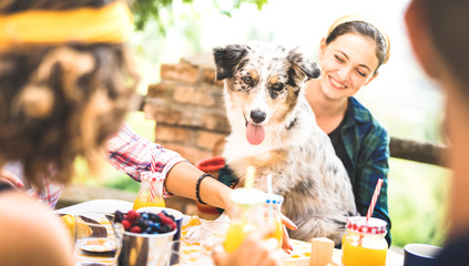 Happy friends having healthy pic nic breakfast at countryside farm house - Young people millennials with cute dog having fun together outdoors at garden party - Food and beverage lifestyle concept