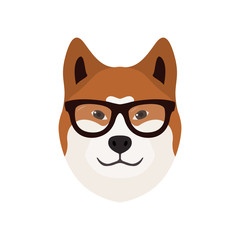 Vector Akita Inu dog illustration. Cute dog in glasses. Akita Inu simple emblem.