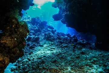 Naklejka na ściany i meble Caves of the Paradise reef at the Red Sea, Egypt