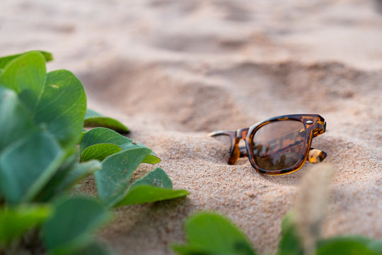 Sunglasses buried in the sand next to tropical green wild plants on the beach