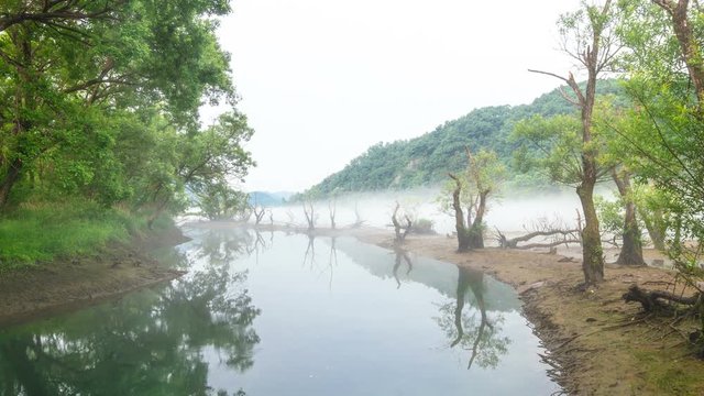 LOHAS road with a beautiful green, Daejeon. Zoom out