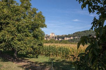 The medieval Chateau de Beynac rising on a limestone cliff above the Dordogne River. France,...