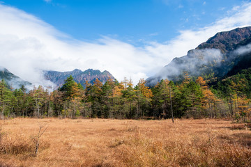 Close up mountain range in autumn with clouds blue and white sky in Kamikochi national park focus on colorful pine golden trees, the Northern Alps of the Japanese Alps in Japan.