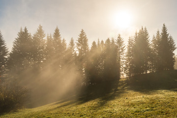 Słońce i mgła - rozproszenie światła © Arsky