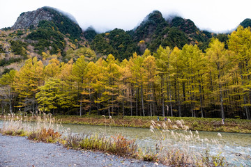 Mountain range with isolated sky river side view in Kamikochi national park focus on colorful pine golden trees in autumn season, the Northern Alps of the Japanese Alps in Japan.