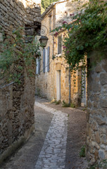 Fototapeta na wymiar Typical French townscape with ancient housest and cobblestone street in the traditional town Beynac-et-Cazenac, France