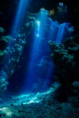 Foto op Aluminium Caves of the Paradise reef at the Red Sea, Egypt © Mina Ryad