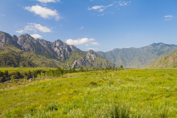 Fototapeta premium Altai mountains panorama