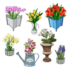 Set of different spring flowers in containers. Hand drawn objects in sketch style isolated on white background.
