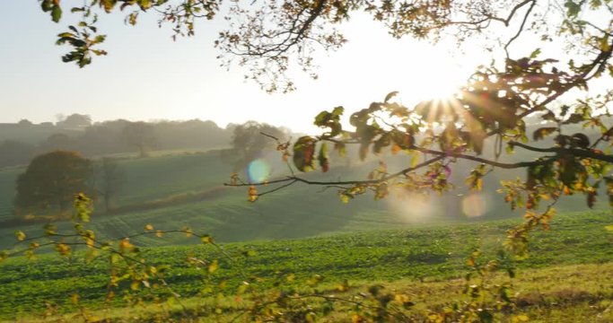 Autumn colors near Hardwick Park, Derbyshire, England, United Kingdom, Europe  
