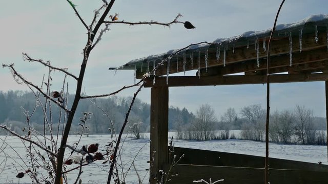 Winterimpressionen eines Fotografen, Utting, Ammersee, Bayern