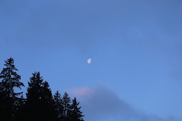 moon
