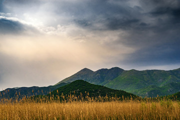 Fototapeta premium Beautiful views of Lake Skadar National Park in Montenegro in Europe