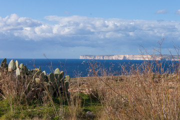 Malta sea. Beautiful winter island Malta view