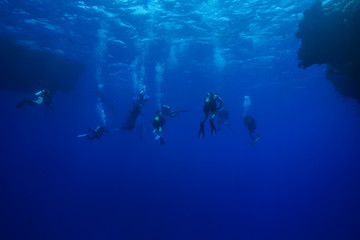 diving the Red Sea, Egypt