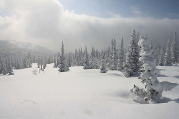 Naklejka premium winter in the mountains