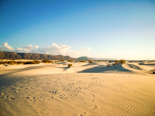 Sand dunes, Namib desert, Africa