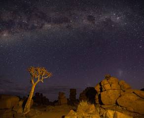The Milky Way shines over quivertrees