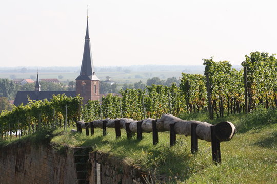Deidesheim Pfalz