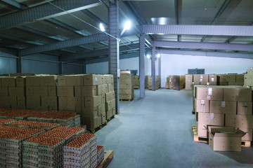 Factory Chicken Egg Production. Warehouse fridge with ready to send boxes with eggs. Agribusiness...