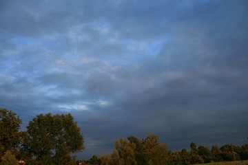 dark blue sky above the forest field
