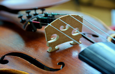 violin perspective view