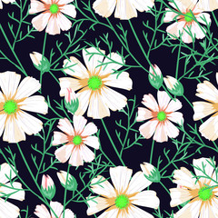 Floral pattern chammomile. Florals vector surface design.